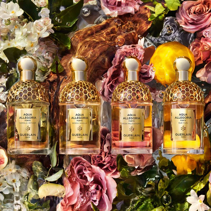 Aqua Allegoria Oud Yuzu Forte* - Image 12