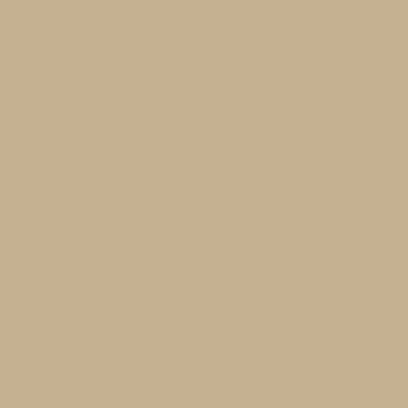 Brow Densify Powder to Cream New - Sopracciglia intense e densificate* - Image 11