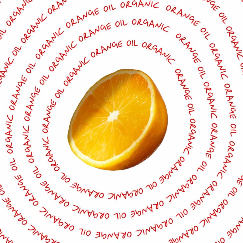 CK EveryOne - Image 11