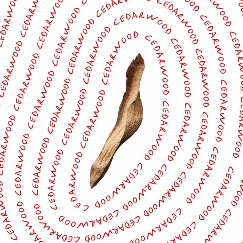 CK EveryOne - Image 6
