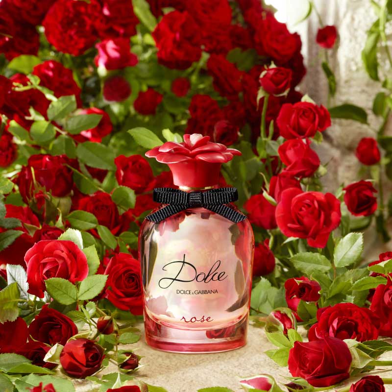 Dolce Rose - Image 2