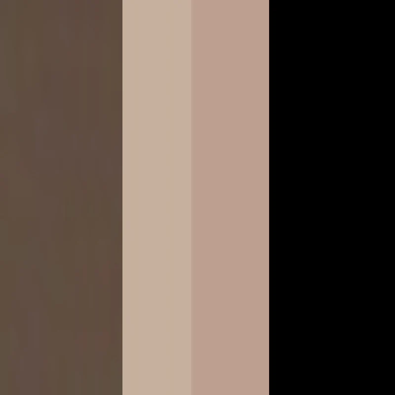 Eyebrow Professional Kit - Image 8