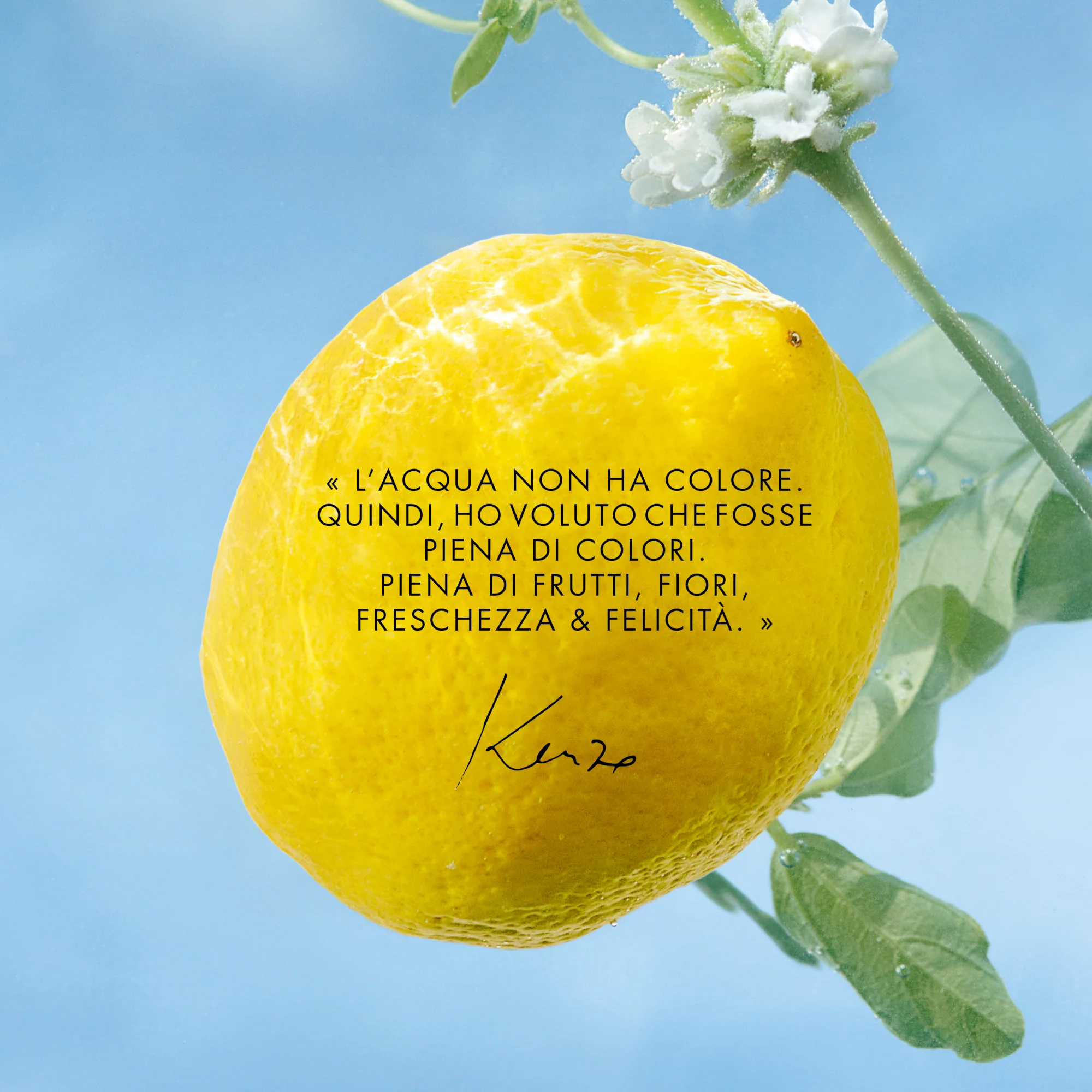 Kenzo L'Eau Pure - Image 4