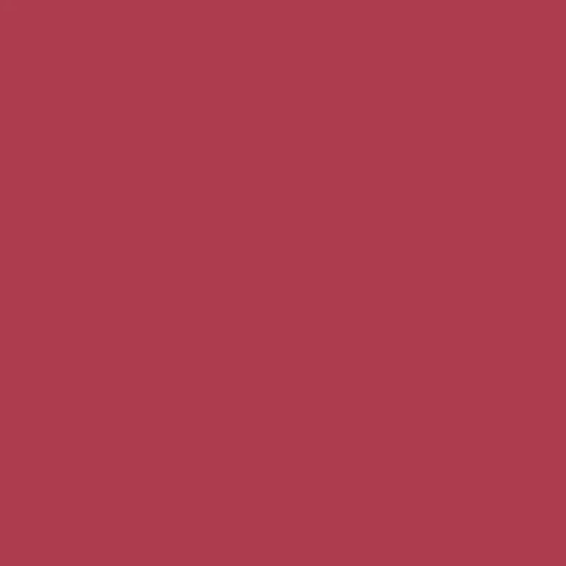 L'Absolu Rouge Intimatte - Image 119
