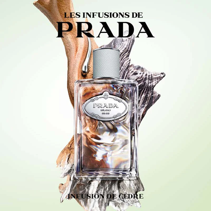 Les Infusions - Infusion de Cèdre 100 ML - Image 3