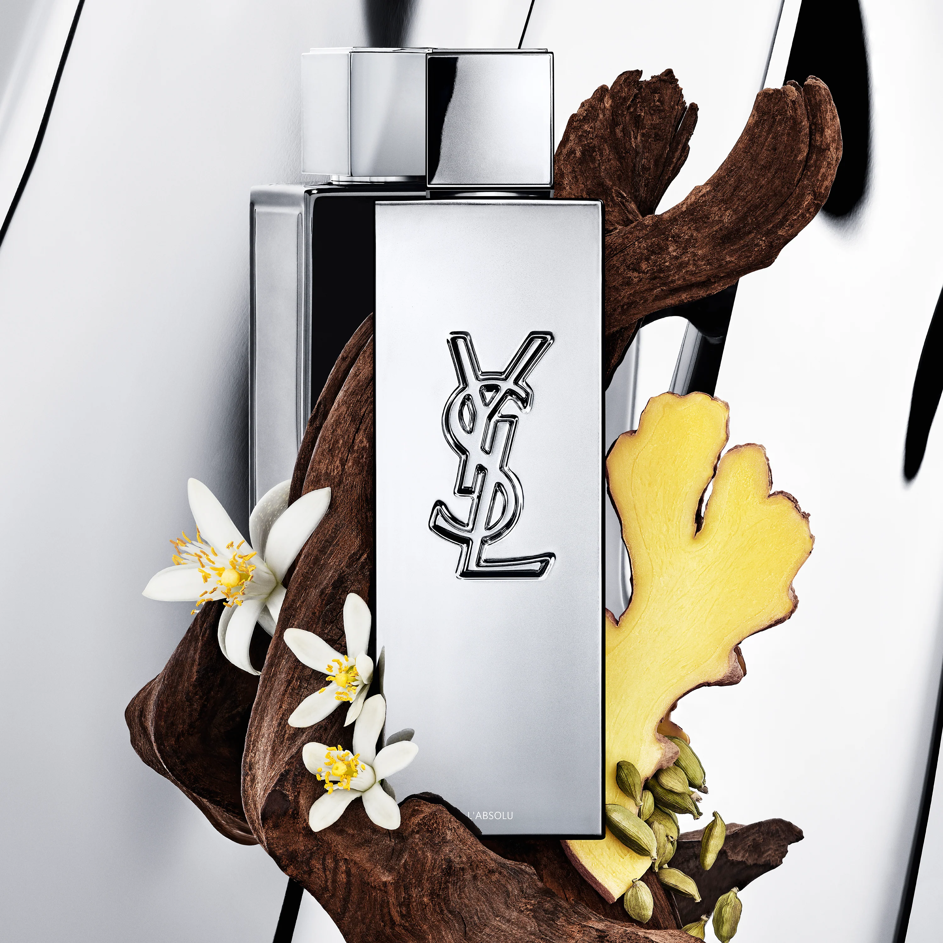 My Slf L' Absolu - Image 6