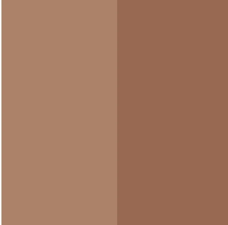 Sopracciglia Impeccabili Cera Modellante + Polvere Colorata - Image 4
