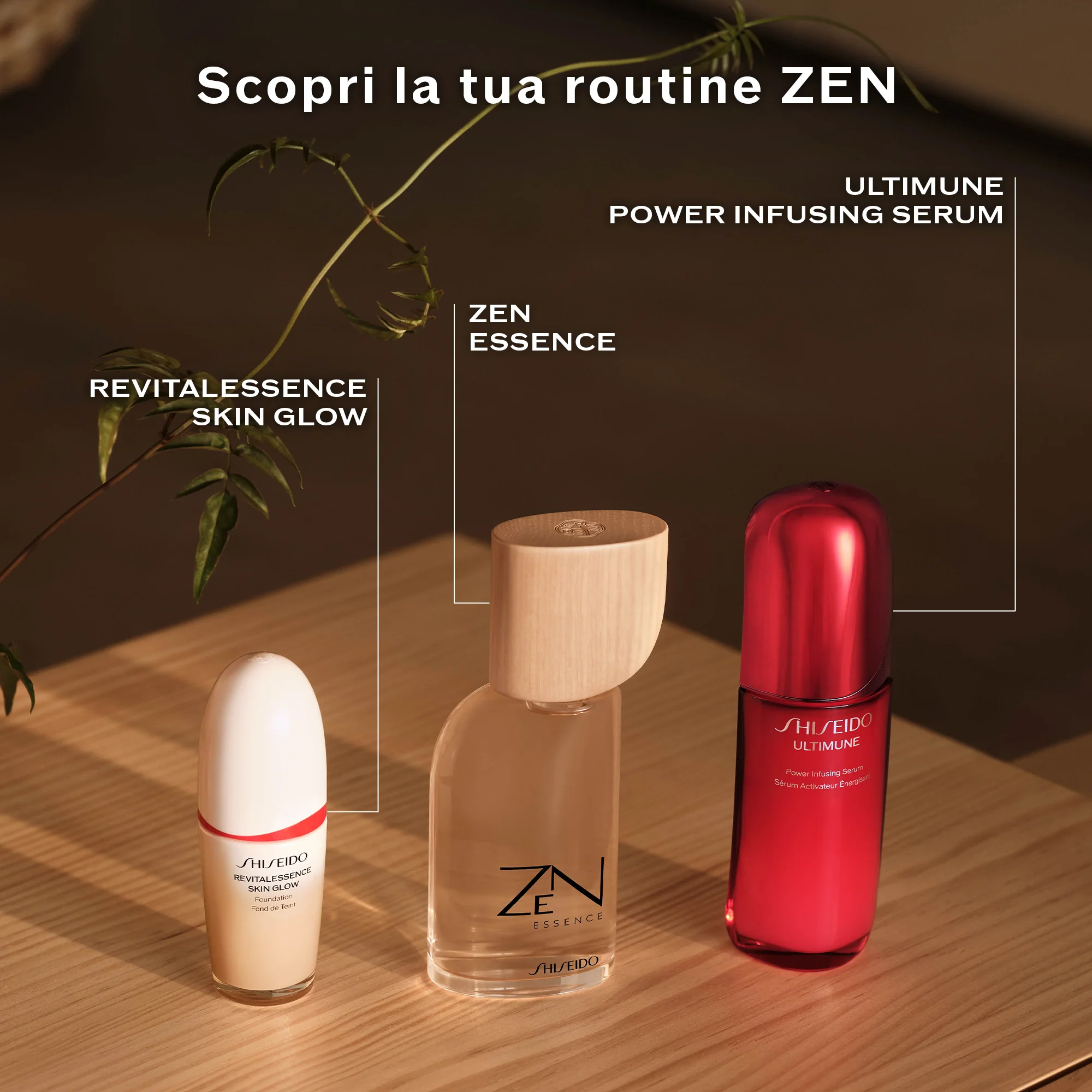 Zen Essence - Image 4