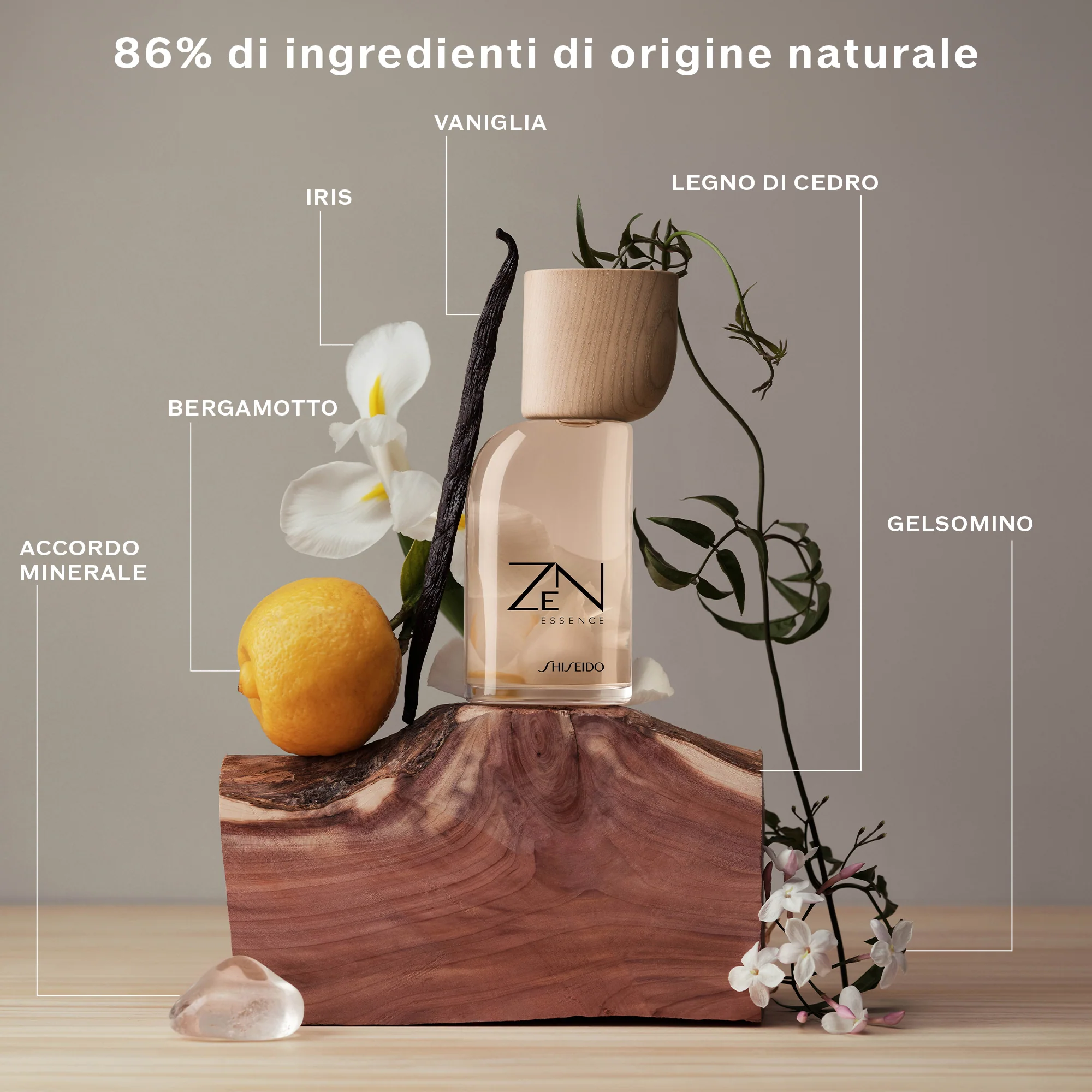 Zen Essence - Image 5